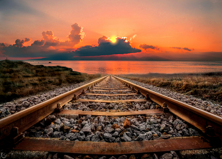 Il Sogno di un Movimento Libero