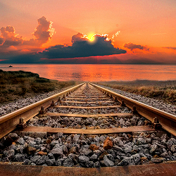 Il Sogno di un Movimento Libero