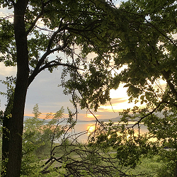 La vita nasce dall'acqua