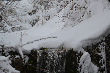 Following the water flow
