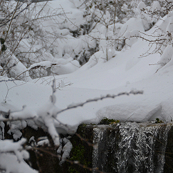 Following the water flow