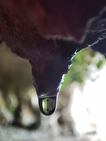 Una goccia di splendore