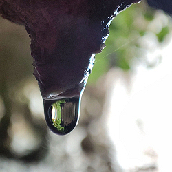 Una goccia di splendore