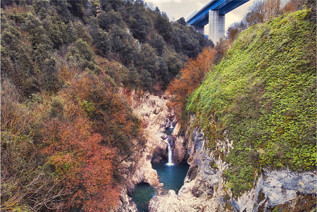 Le vie dell'uomo e della natura