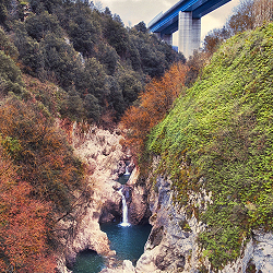 Le vie dell'uomo e della natura