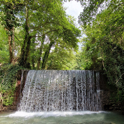 Spettacolo della natura