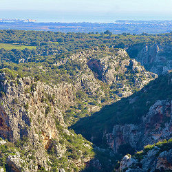 Canyon Cavadonna, dalle sorgenti al mare