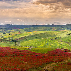 Tra Sulla e Parchi eolici