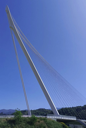 Eleganza sospesa: grazia e leggerezza del ponte strallato