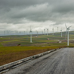 Il grano, il vento e il parco eolico