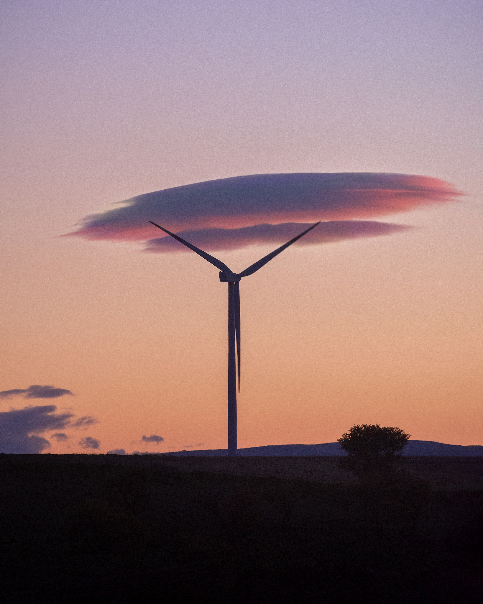 image 2 classificato