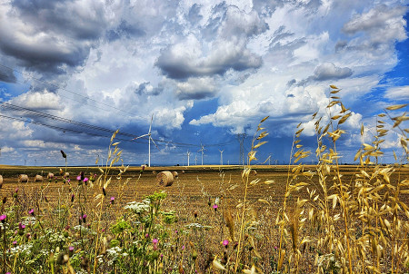 Vento e oro di Puglia