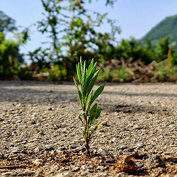 Natura vs infrastrutture, quale equilibrio?