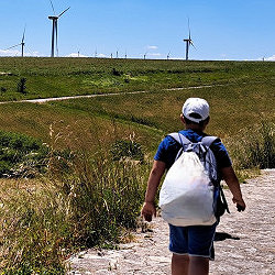 Il vento che soffia al futuro