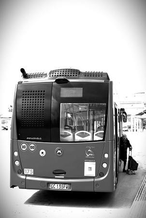 Al ritorno dalla spesa