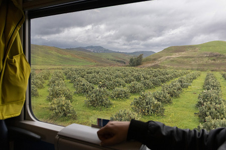 Viaggio in seconda classe