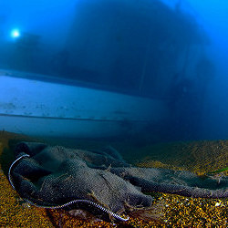 Viaggio della speranza