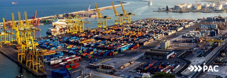 Single Article Image