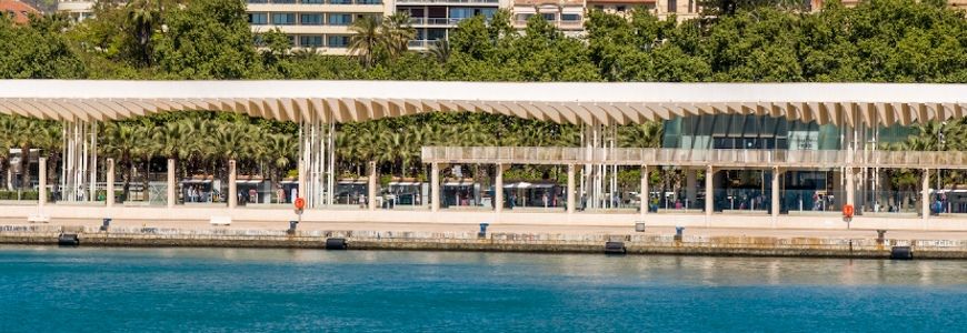 Single Article Image